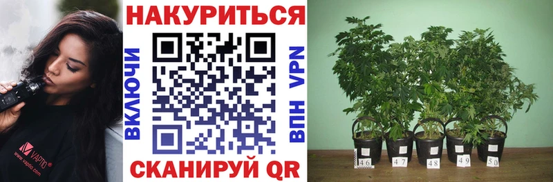 Что такое Строитель ГАШ  МАРИХУАНА  А ПВП  Меф  COCAIN 