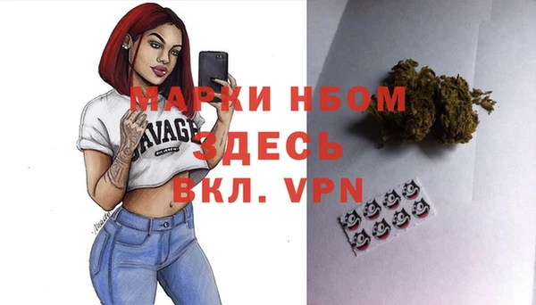 стафф Коряжма
