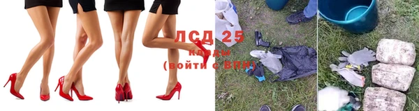 стафф Коряжма