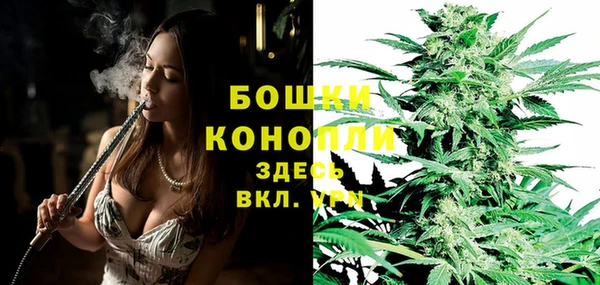 стафф Коряжма