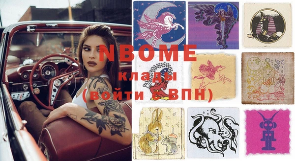 прущие грибы Кинешма