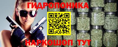 соль ск Гатчина