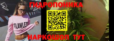 соль ск Гатчина