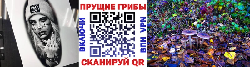 дарнет шоп  Строитель  KRAKEN зеркало  Псилоцибиновые грибы GOLDEN TEACHER 