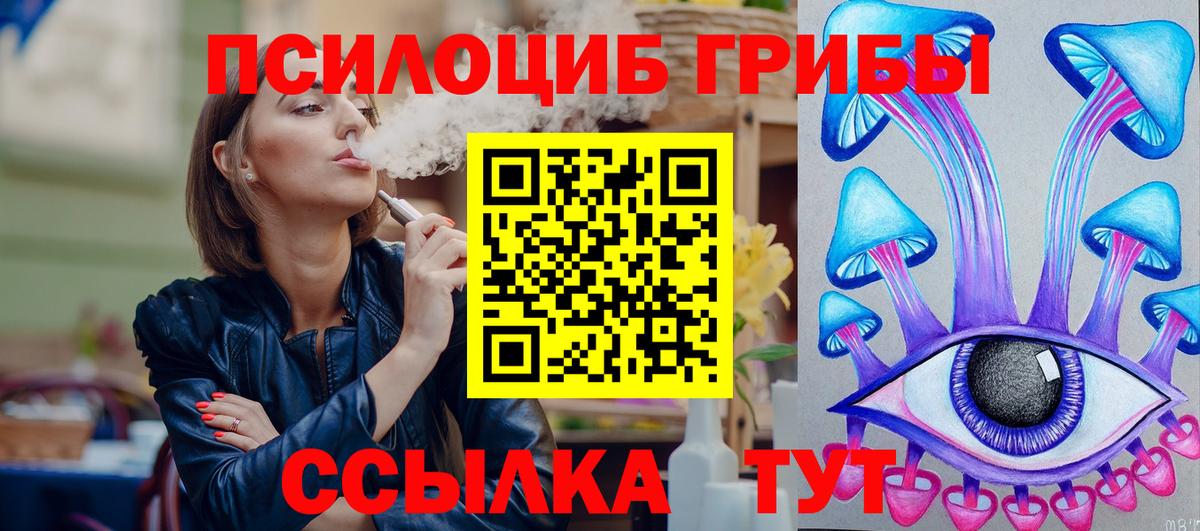 Галлюциногенные грибы Psilocybe Строитель