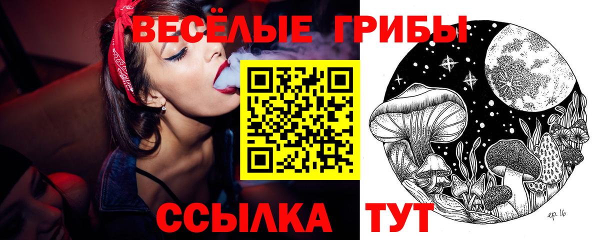 Строитель  Галлюциногенные грибы Psilocybine cubensis  Вход с VPN  Псилоцибиновые грибы мухоморы 